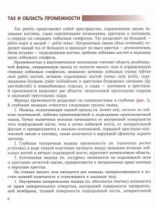 Интрафасциальные пространства в хирургии опухолей малого таза у женщин