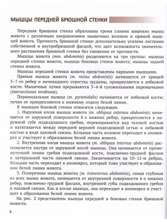 Интрафасциальные пространства в хирургии опухолей малого таза у женщин