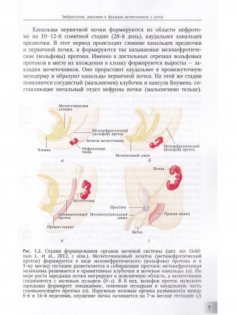 Мегауретер у новорожденных и детей раннего возраста