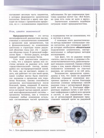 Руководство по иридодиагностике и фитотерапии