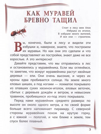 Первый урок
