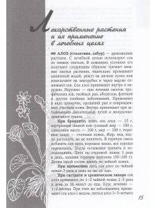 Лекарственные растения и здоровье человека