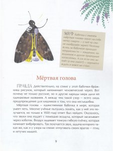 Страшный жук? Добрый жук!