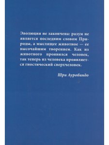 За пределы человека. Жизнь и деятельность Шри Ауробиндо и Матери