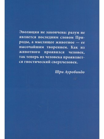 За пределы человека. Жизнь и деятельность Шри Ауробиндо и Матери