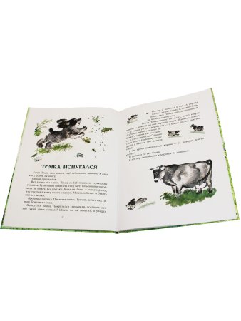 Томкины сны. Илл. автора