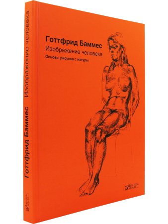 Изображение человека. Основы рисунка с натуры