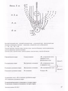 К учению о чувствах восприятий. Записи из записной книжки