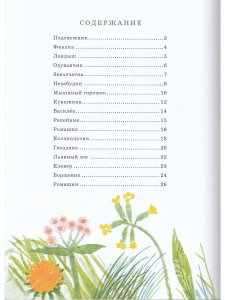 Наши цветы.
