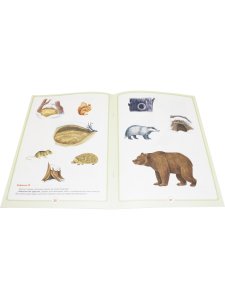 Добро пожаловать в экологию! Рабочая тетрадь для детей 4—5 лет (средняя группа). Часть 1, ФГОС.