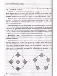 Восточные мануальные техники. Туйна, шиацу. Теория и практика. Учебное пособие + Авторский аудиокурс