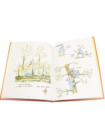 Философия Коалы