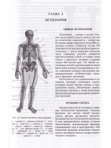 Нормальная анатомия человека т.1  11-е издание