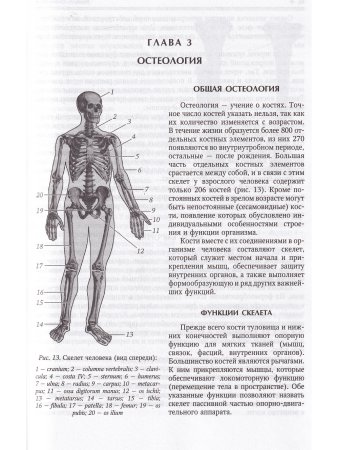 Нормальная анатомия человека т.1  11-е издание