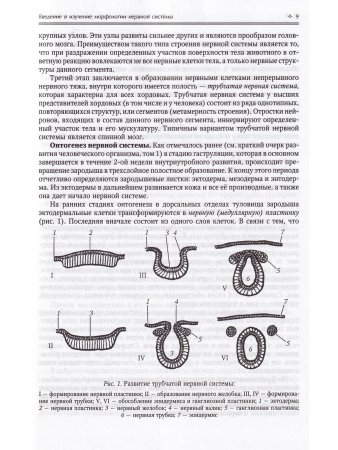 Нормальная анатомия человека т.2  11-е издание