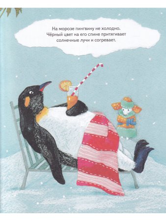 ПИНГВИНЫ Всё, что вы знаете и не знаете
