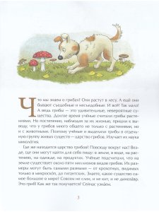 Грибное царство