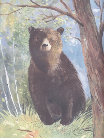 Мишка. Самый русский зверь
