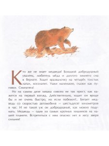 Мишка. Самый русский зверь