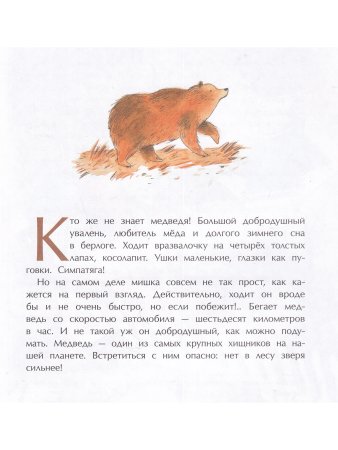 Мишка. Самый русский зверь