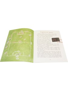 Оле, оле, оле! История футбола
