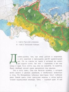 Тайга. Удивительный лес