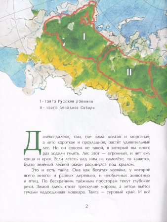 Тайга. Удивительный лес