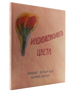 Индивидуальность цвета. Путь упражнений по живописи и переживанию цвета