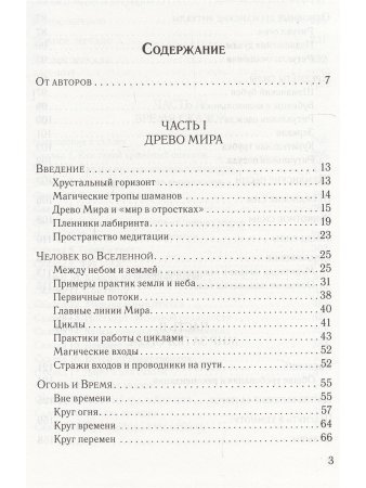 Огонь и Время шаманский опыт познания мира