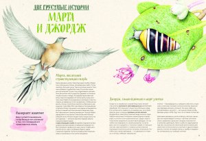 На грани исчезновения: животный мир Земли