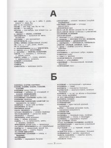 Русский словарь языкового расширения. /сост. А.И.Солженицын. 2-е изд.