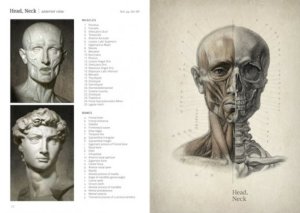 Анатомия фигуры человека (на англ.яз.) 