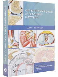 Ортопедическая анатомия Неттера