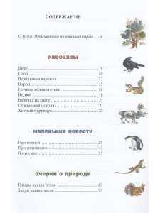 Ночные колокольчики. Илл. Е. Чарушиной-Капустиной