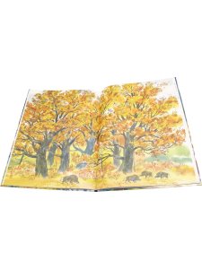 Зеркальный дом озёрной чайки
