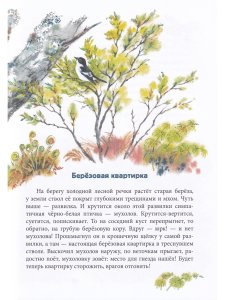 Зеркальный дом озёрной чайки