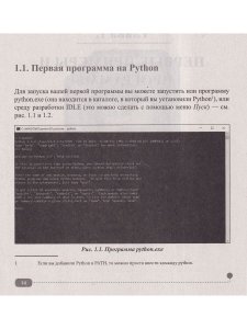 Python на примерах. Практика, практика и только практика