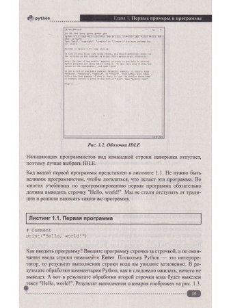 Python на примерах. Практика, практика и только практика