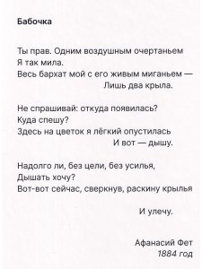 Как гусеница становится бабочкой