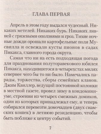 Кот, который бросил бомбу