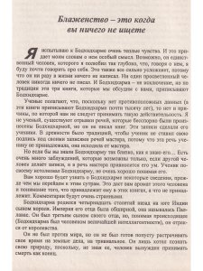 Бодхидхарма - Мастер света
