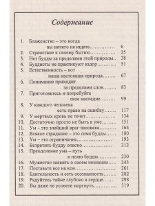 Бодхидхарма - Мастер света