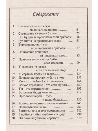 Бодхидхарма - Мастер света