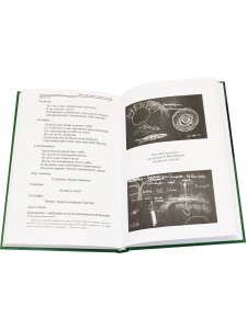Человек как единое звучание творящих Мировых Слов