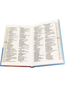 Школьный Орфографический словарь русского языка. (офсет. бум.)