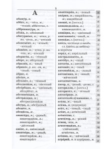 Школьный Орфографический словарь русского языка. (офсет. бум.)