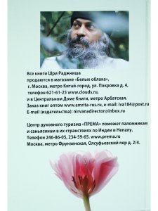 Ранние беседы.Дикие гуси и вода.