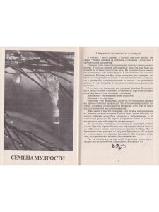 Семена мудрости. Новый рассвет.