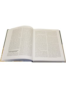 Очерки истории христианских цивилизаций : в 2 т. Т. 2 : От арабских завоеваний до крестовых походов (VIII‒XI вв.)