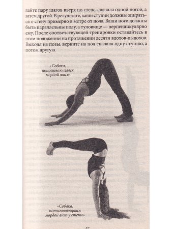 Форрест-йога. Танец с драконами. Революционные практики исцеления тела и духа
